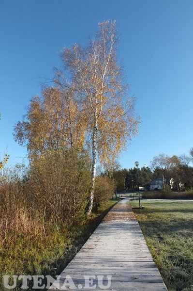 Dauniškio parkas